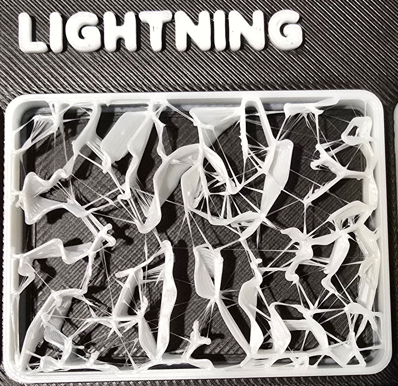 A close-up of lightning infill, a sparse irregular web of connected lines, with some areas looking like tangled filament.